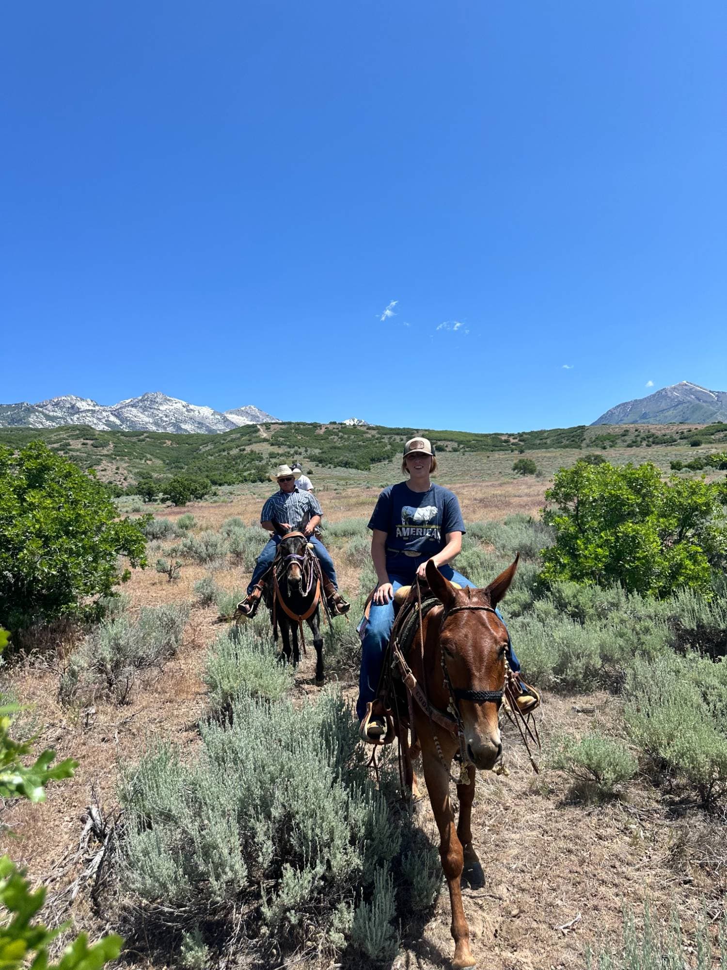Three riders on mules heading down a sage-lined trail with snowy peaks behind