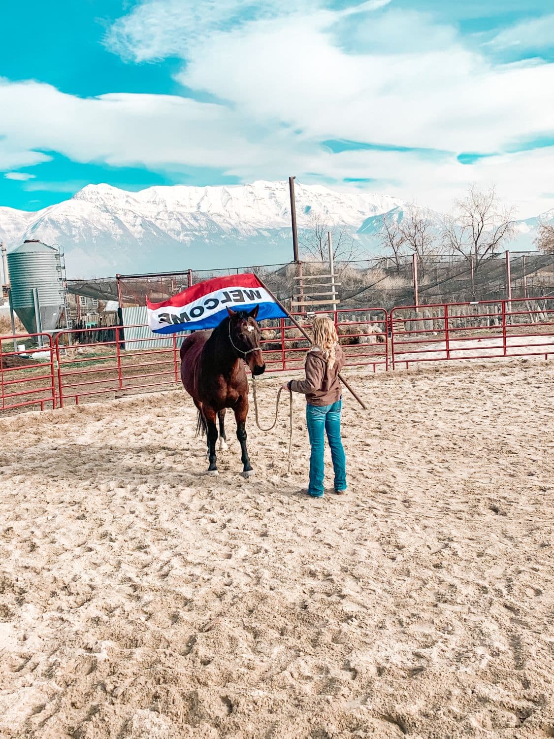A trainer waving a WELCOME flag behind a bay horse as part of desensitization work, snowy mountains behind